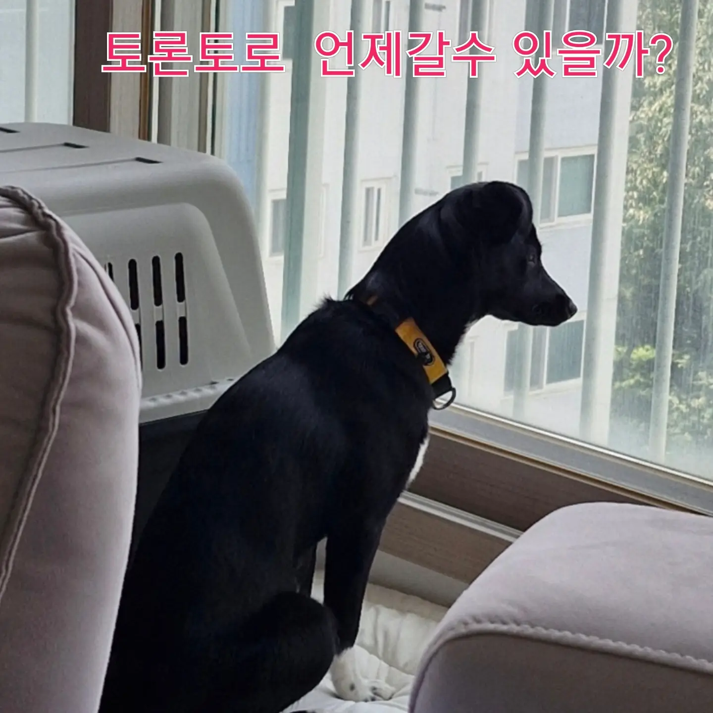 서이